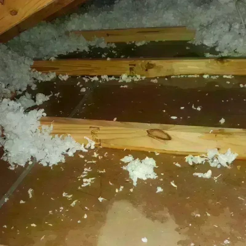 Attic Water Damage in McPherson County, NE