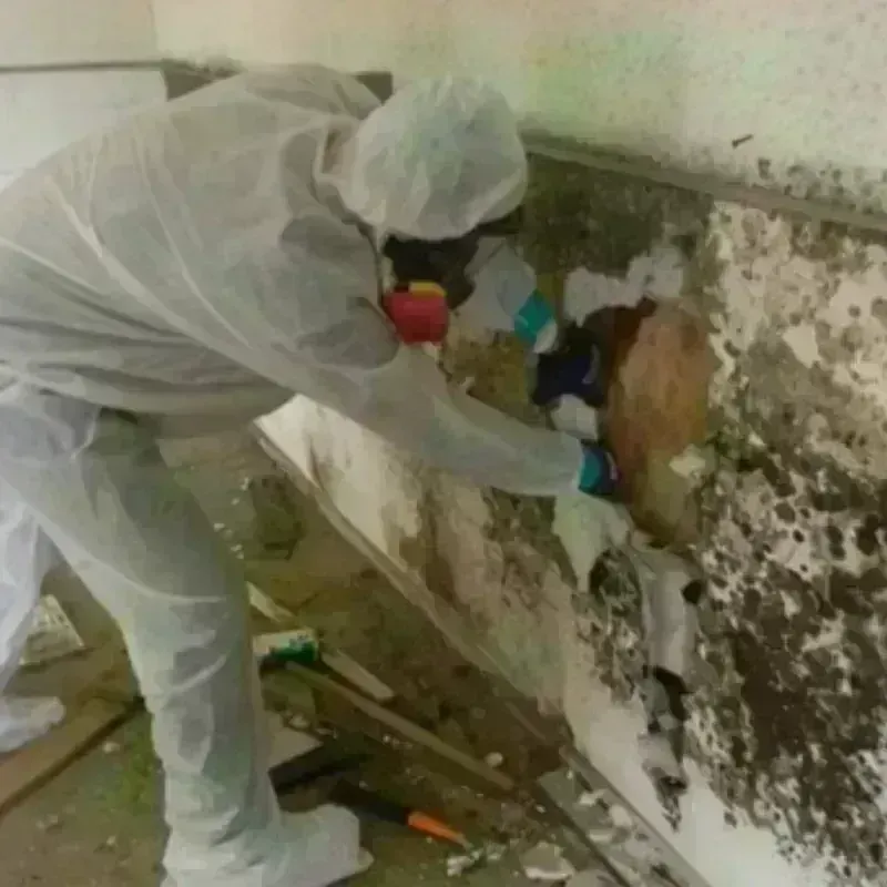 Mold Remediation and Removal in McPherson County, NE